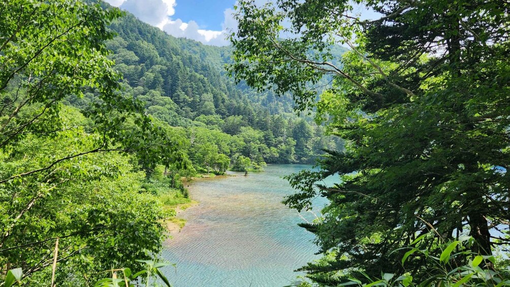 Picture 11 for Activity Nagano: UNESCO Nature, Autumn Colors & Local Highlights Tour 2