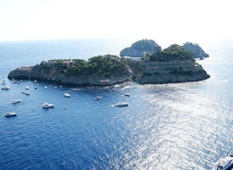 Picture 25 for Activity Private Boat Tour in Amalfi Coast, Li Galli Islands & Nerano 2