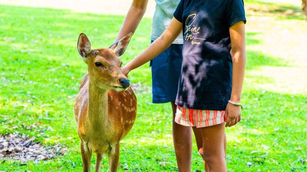 A person holding a deer in a grassy area. 3