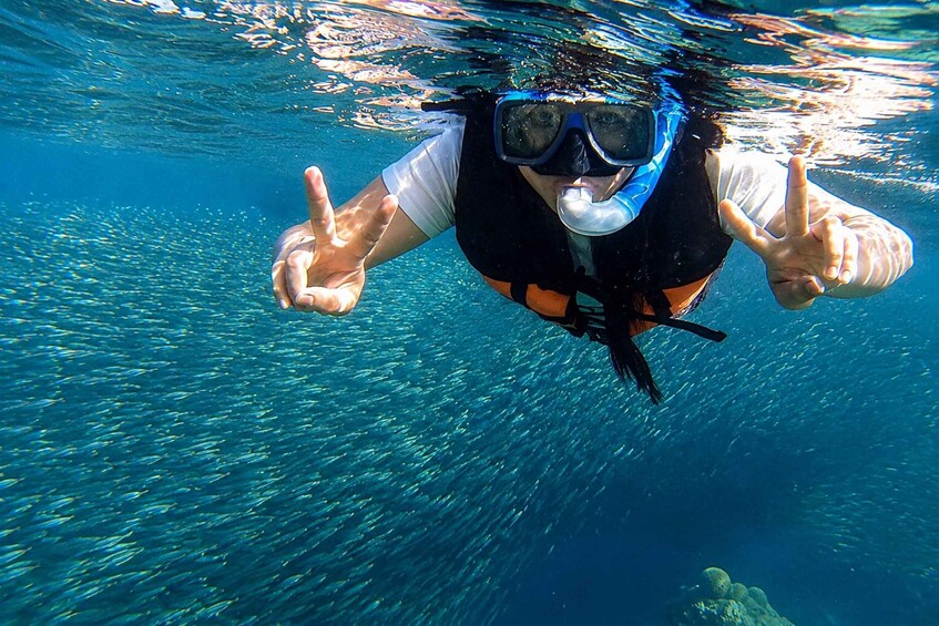A person scuba diving underwater with fins, surrounded by fish. 5