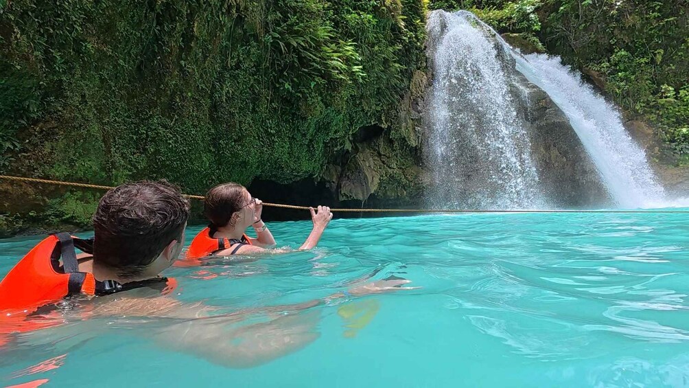Picture 2 for Activity Cebu: Whale Sharks, Kawasan Falls, & Sardines Run Snorkeling 4