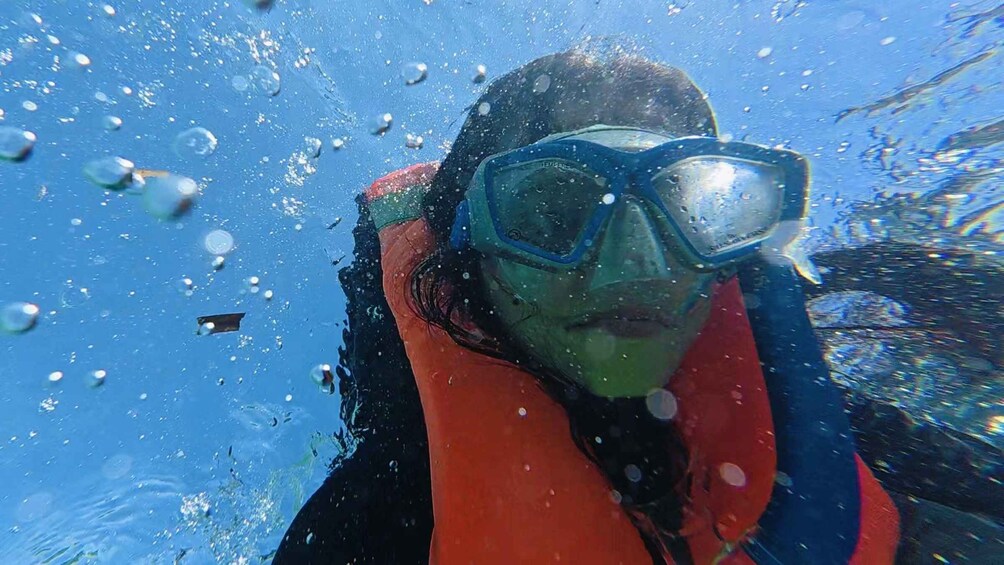 Picture 3 for Activity Cebu: Whale Sharks, Kawasan Falls, & Sardines Run Snorkeling 3