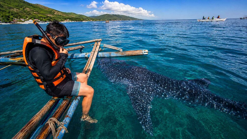 Picture 6 for Activity Cebu: Whale Sharks, Kawasan & Sardine Run + Free GoPro 2