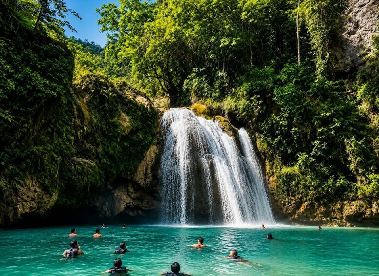 Picture 1 for Activity Cebu: Whale Sharks, Kawasan & Sardine Run + Free GoPro 4