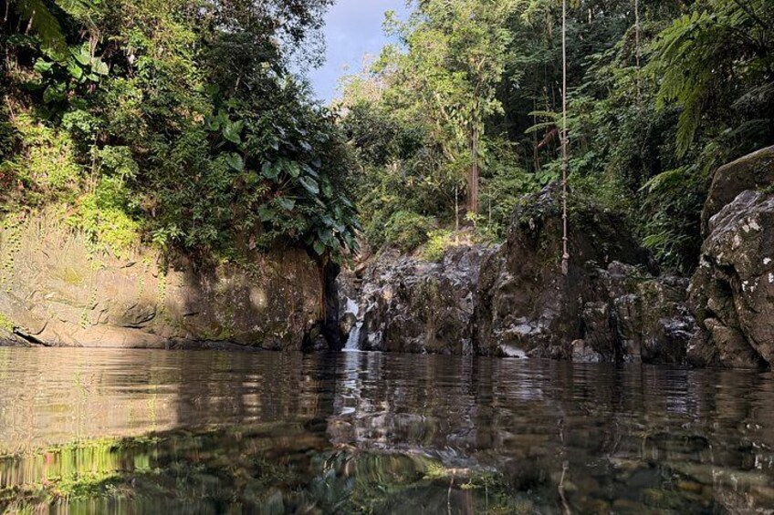Swim in uncrowded rainforest pools 4