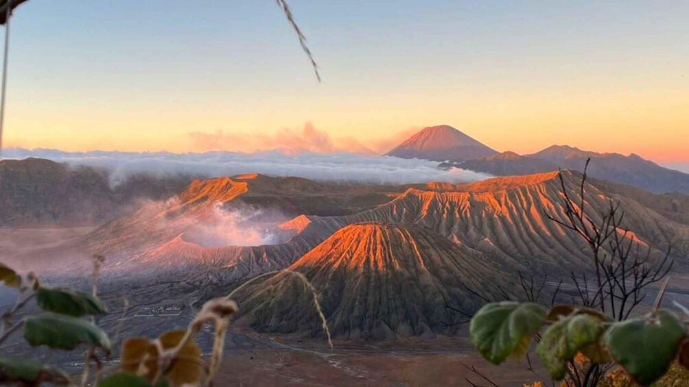 Picture 7 for Activity Surabaya/Malang: Waterfall, Bromo & Ijen Drop Bali Inclusive 2