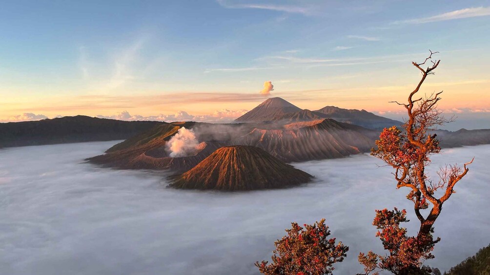 Surabaya/Malang: Waterfall, Bromo & Ijen Drop Bali Inclusive 1