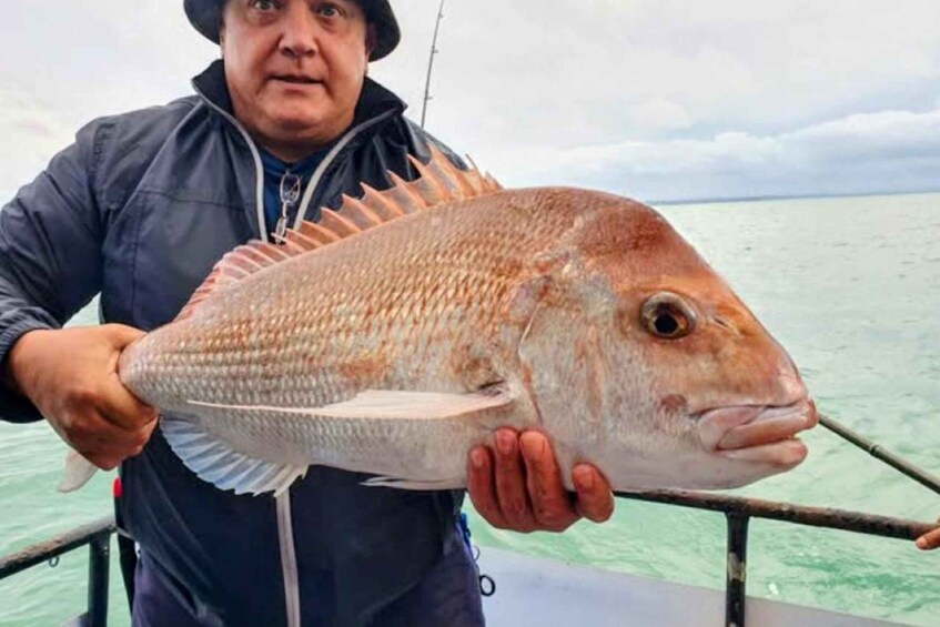 Picture 8 for Activity Auckland: Full-Day Fishing Charter (7 am - 4 pm) 2