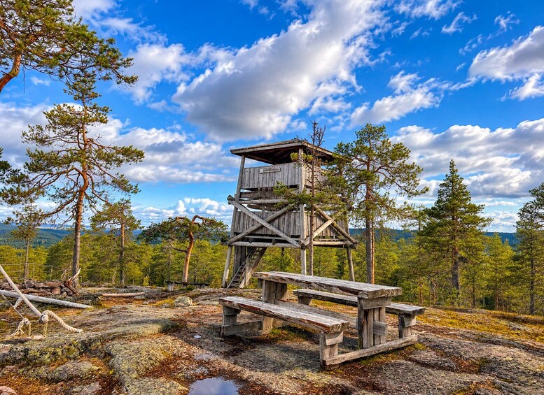 Picture 20 for Activity Rovaniemi: Korouoma & Auttiköngäs Summer—Autumn hike & BBQ 3