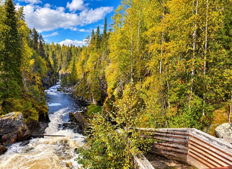 Picture 4 for Activity Rovaniemi: Korouoma & Auttiköngäs Summer—Autumn hike & BBQ 4