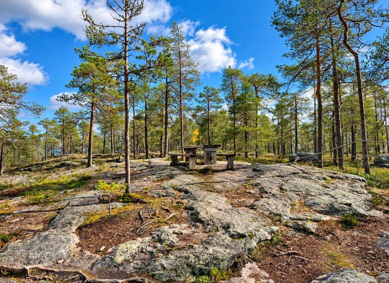 Picture 10 for Activity Rovaniemi: Korouoma & Auttiköngäs Summer—Autumn hike & BBQ 2