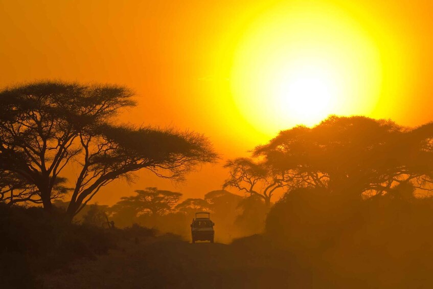 A vehicle on a road with trees silhouetted against a sunset. 3