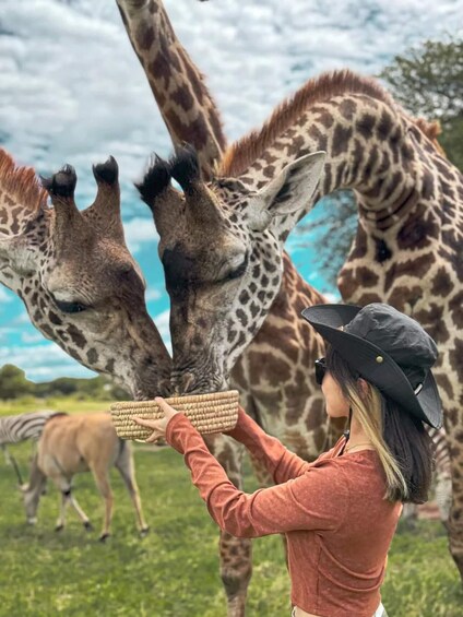 Picture 2 for Activity SERVAL WILDLIFE DAY - TOUR FROM ARUSHA, MOSHI OR ZANZIBAR. 2