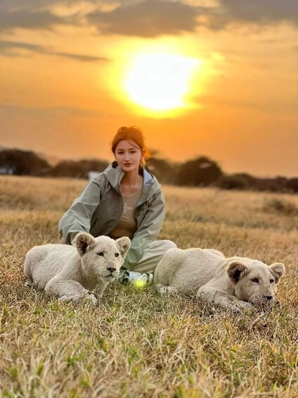 Picture 4 for Activity SERVAL WILDLIFE DAY - TOUR FROM ARUSHA, MOSHI OR ZANZIBAR. 4