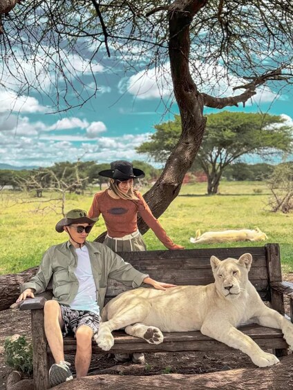 Picture 1 for Activity SERVAL WILDLIFE DAY - TOUR FROM ARUSHA, MOSHI OR ZANZIBAR. 3