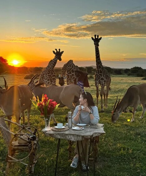 SERVAL WILDLIFE DAY - TOUR FROM ARUSHA, MOSHI OR ZANZIBAR. 1