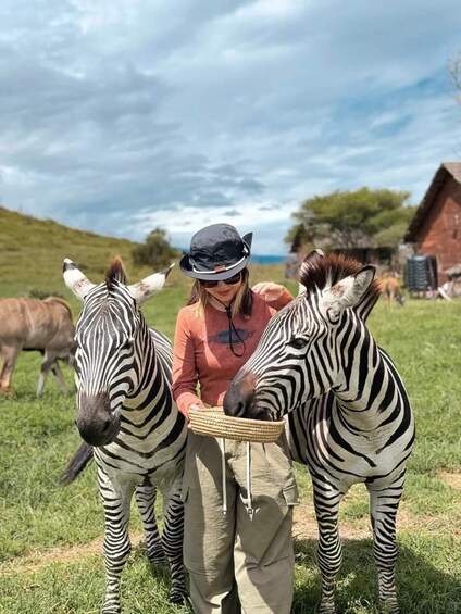 Picture 3 for Activity SERVAL WILDLIFE DAY - TOUR FROM ARUSHA, MOSHI OR ZANZIBAR. 5