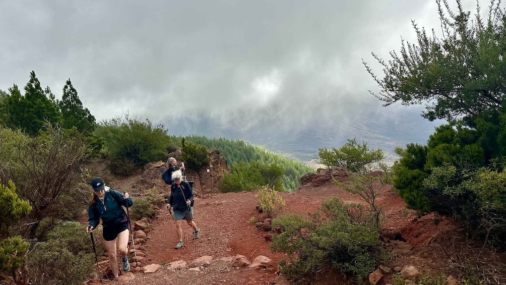 Two hikers on a rocky trail surrounded by dense greenery and a cloudy sky. 3