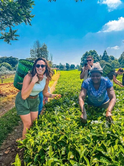Nairobi:Tigoni Tea Plantations & Scenic Tea Experience 1