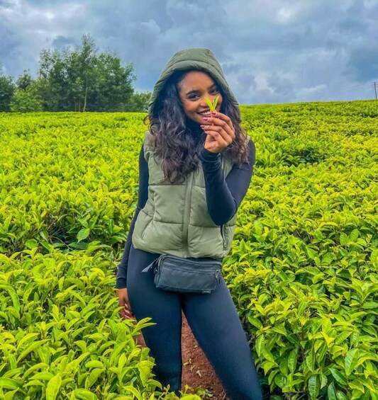 Picture 8 for Activity Nairobi:Tigoni Tea Plantations & Scenic Tea Experience 4