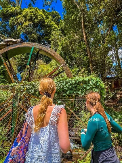 Picture 13 for Activity Nairobi:Tigoni Tea Plantations & Scenic Tea Experience 5