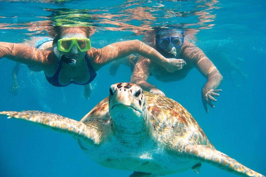 Two people snorkeling with a sea turtle swimming nearby. 4