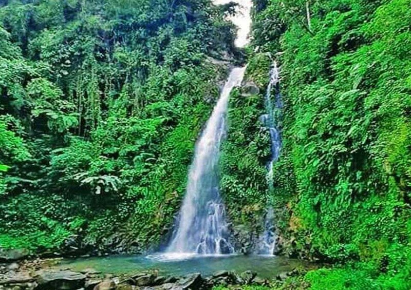 A waterfall surrounded by dense green foliage. 4