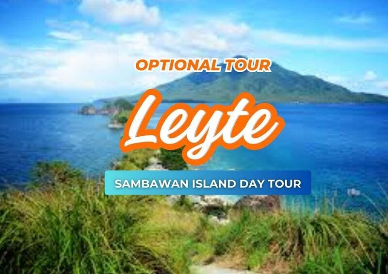 A scenic view of Leyte Island with a clear sky and calm sea. 3