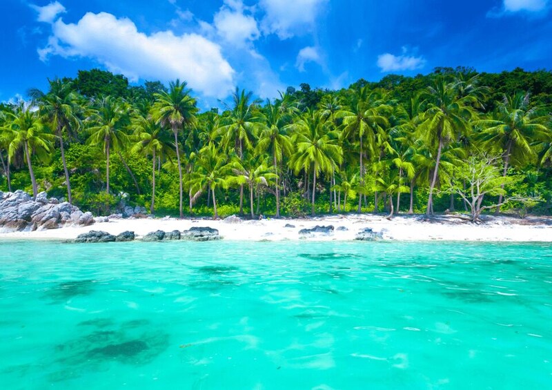 A turquoise sea, white sandy beach, and a line of palm trees. 5