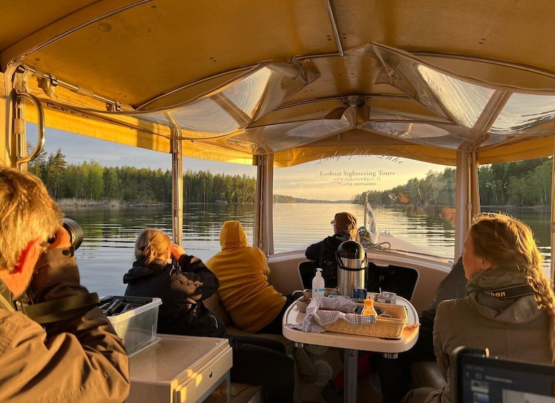 Picture 9 for Activity Puumala: Private Electric Boat Seal Safari 2