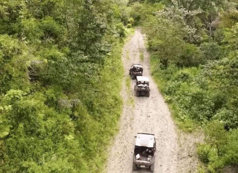 Picture 11 for Activity Panama City: Extreme ATV Jungle Off-Road Adventure 5