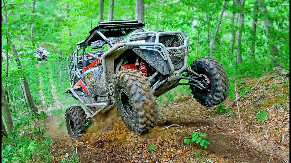 A quad bike in mid-air over a forest trail. 1