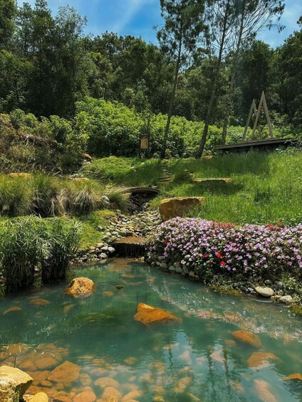 A clear pond with koi fish, surrounded by rocks and flowering plants. 5