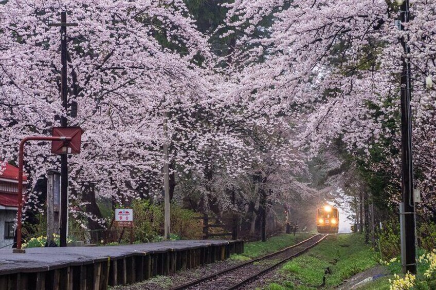 Goshogawara Full-Day Private Tour with Nationally-Licensed Guide