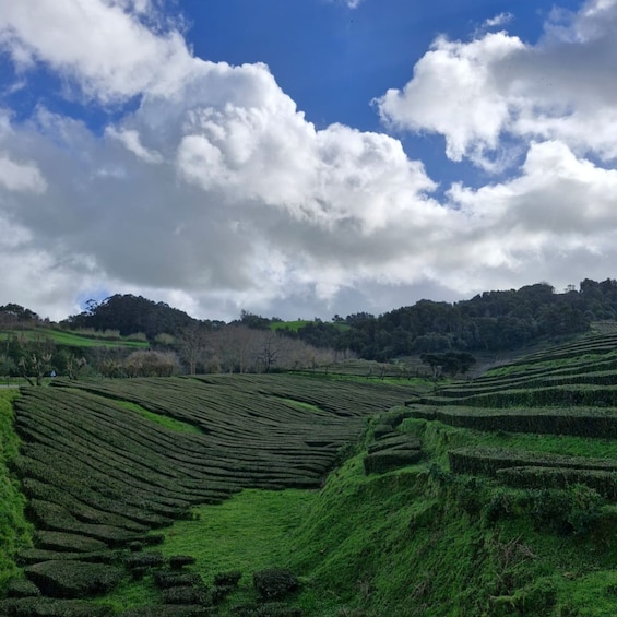 Picture 5 for Activity Furnas: full-day tour of hot springs and volcanic landscapes 5