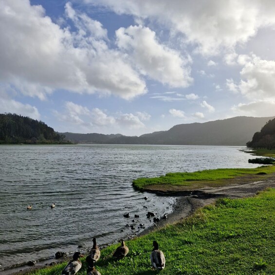 Picture 3 for Activity Furnas: full-day tour of hot springs and volcanic landscapes 1