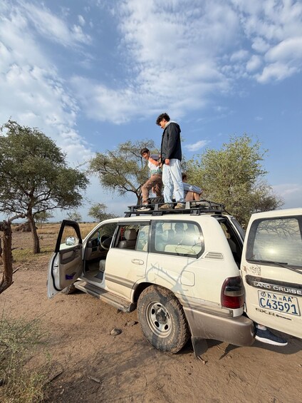 Picture 18 for Activity "Awash National Park Safari Experience" 2