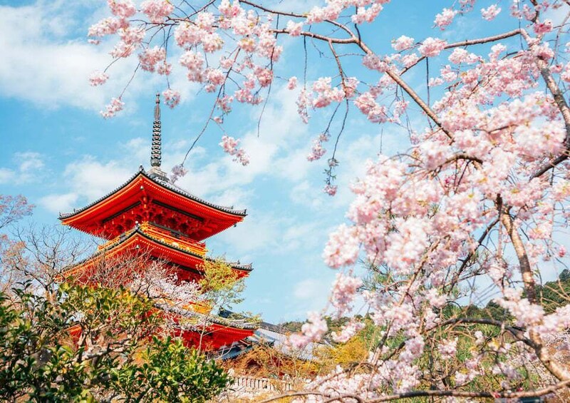Picture 3 for Activity Kyoto Private Transportation with Driver 3