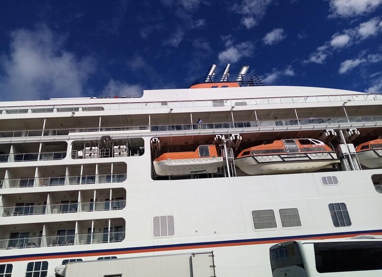Picture 2 for Activity Suva Cruise Ship Tour 2