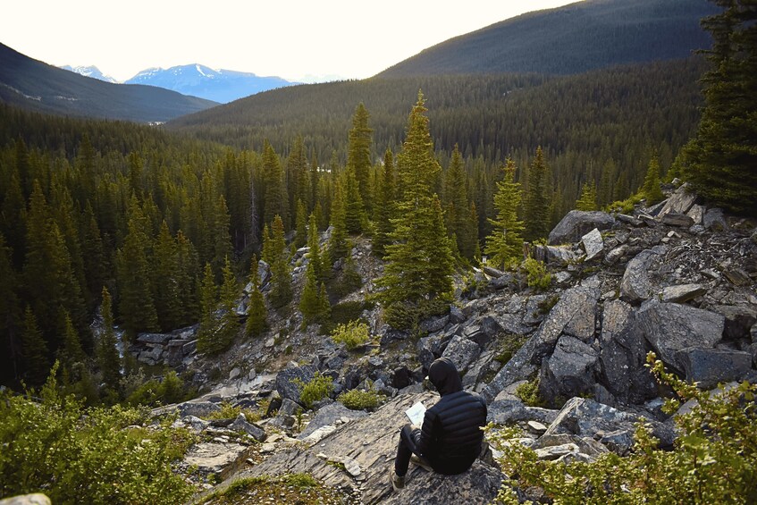 A person sitting on a rocky outcrop overlooking a forested valley with mountains in the distance. 2