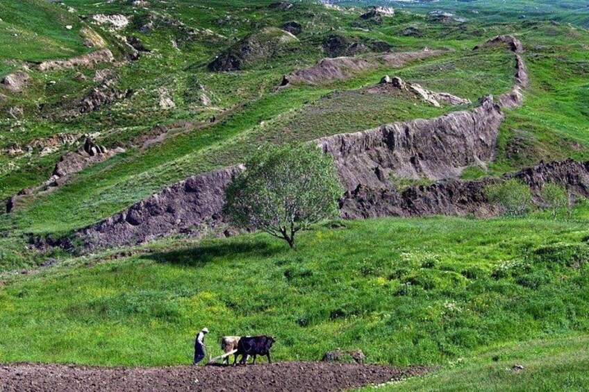 All-inclusive Private Guided Tour of Dogubeyazit City 2