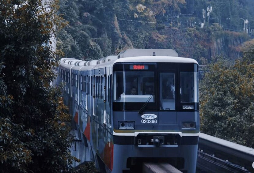 A train with the number 020366 traveling through a mountainous area with dense foliage. 2