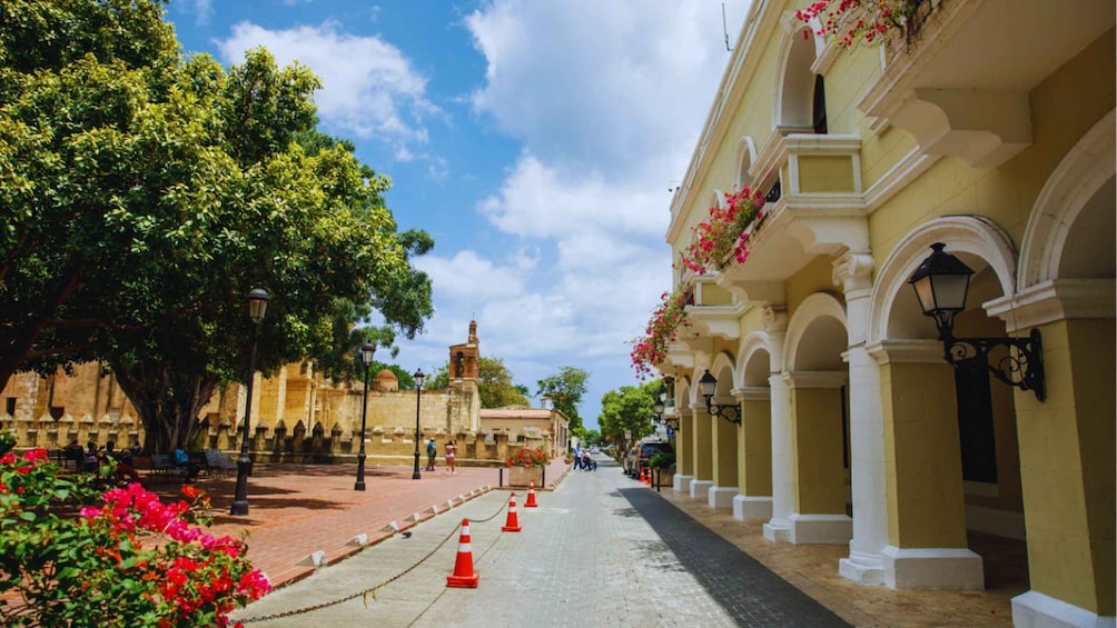 A historic street lined with trees and buildings, featuring a prominent church tower in the background. 1