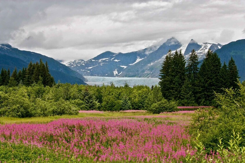 Picture 2 for Activity Juneau: Private Bike Tour with Glacier Views & Hatchery Stop 3