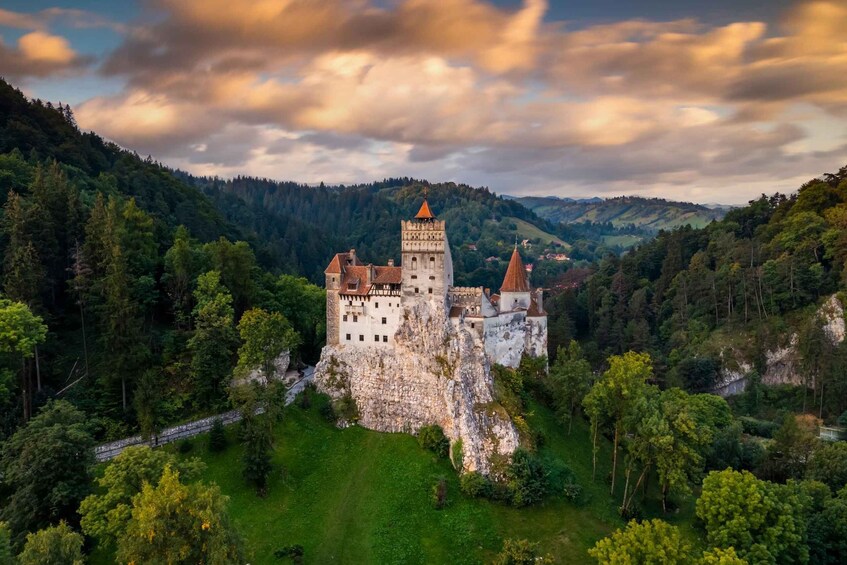 A castle on a hill surrounded by forest. 5