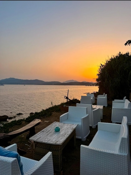 Picture 24 for Activity Golfo Aranci: transparent or traditional kayak, dolphins, and aperitif 5