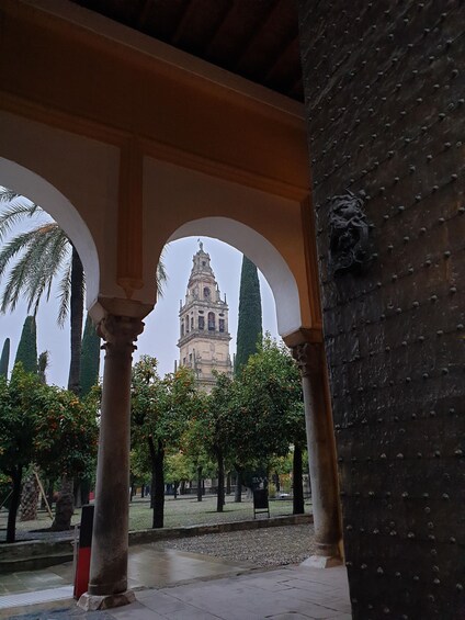 Picture 1 for Activity Córdoba: Private Walking Tour 3