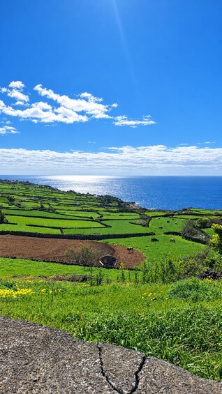 A coastal landscape with terraced fields, a clear blue sky, and the ocean in the distance. 5