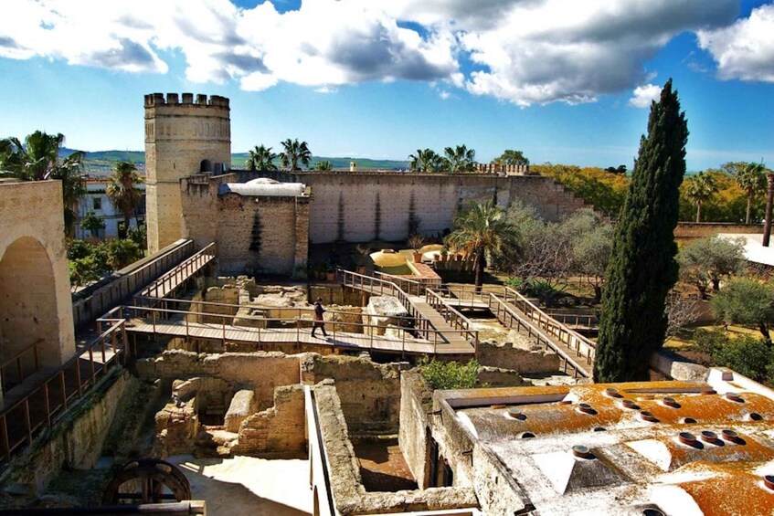 Jerez: City Guided Tour and the Alcazar 1