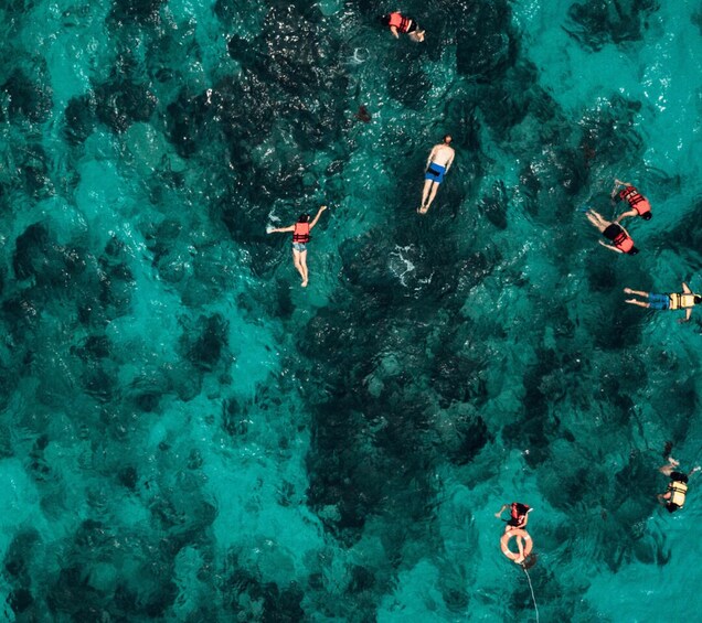 Picture 1 for Activity Mallorca Marine reserve: Visit caves, cliffs and snorkeling 4